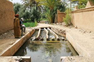 les oasis du Maroc : merveilles naturelles et vie traditionnelle
