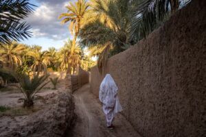 les oasis du Maroc : merveilles naturelles et vie traditionnelle