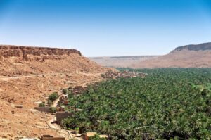 les oasis du Maroc : merveilles naturelles et vie traditionnelle