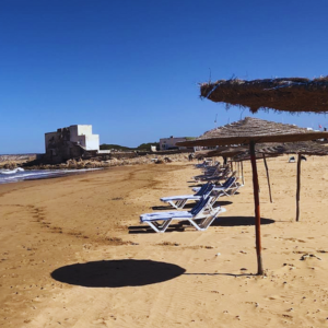 Festival Jazz sous l’Arganier à Essaouira