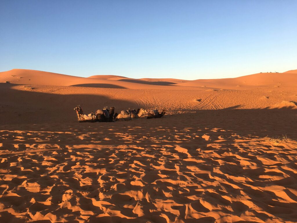 Circuit de 4 jours dans le désert au départ d'Errachidia vers Merzouga et Ouzina